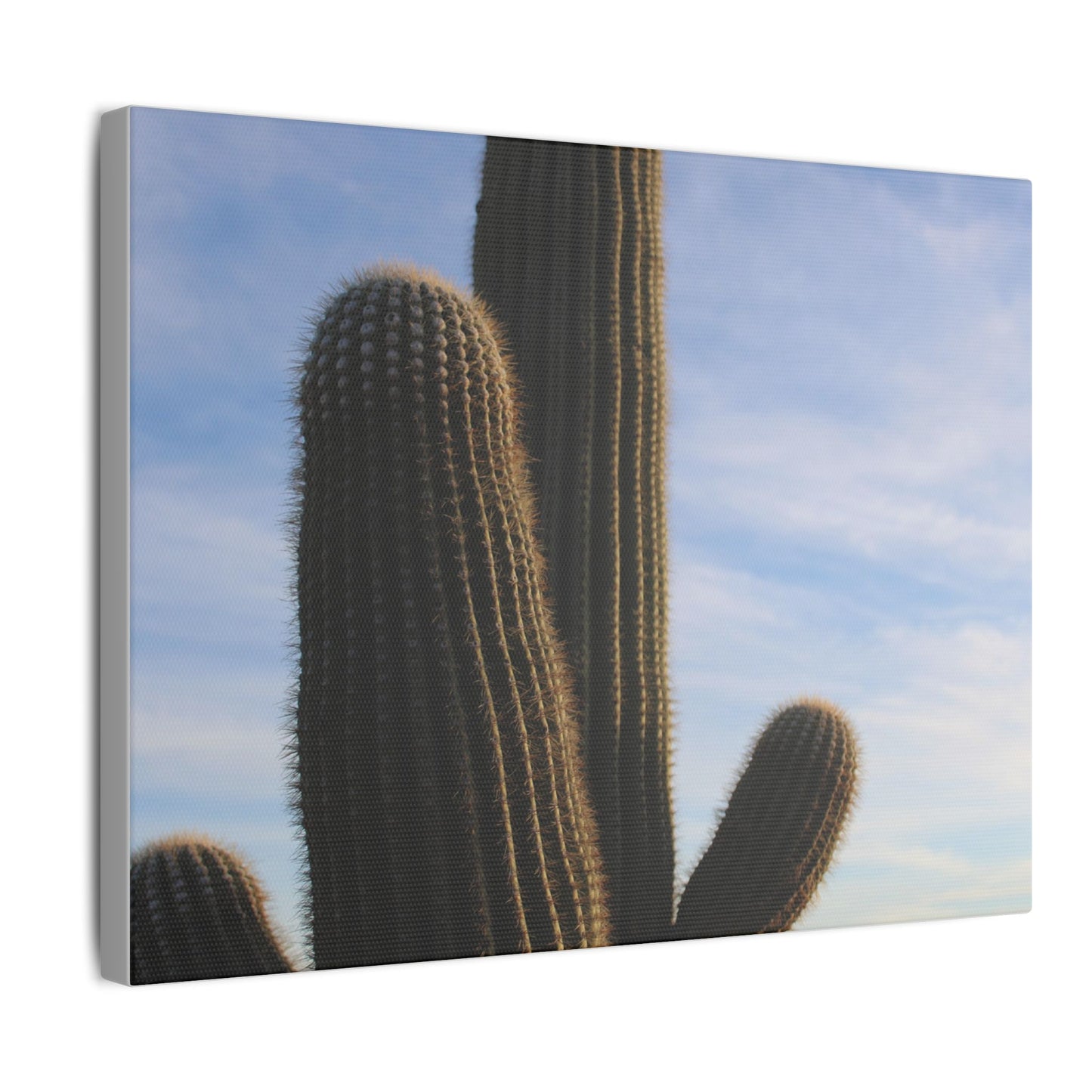Cactus Wall Print - Eco-Friendly Canvas